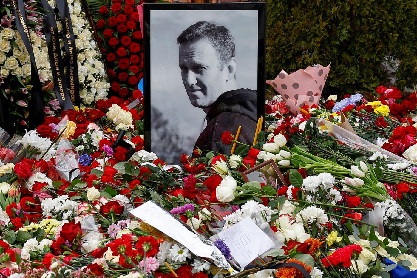 Фото Алексея Навального на на его могиле на следующий день после похорон на Борисовском кладбище в Москве