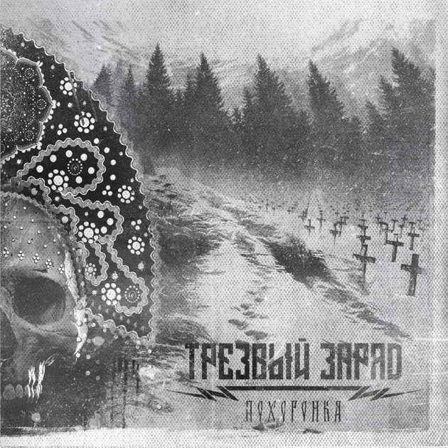 Основателя группы «Трезвый Заряд», певшей о «могилизации», оштрафовали за размещение песен на Apple Music
