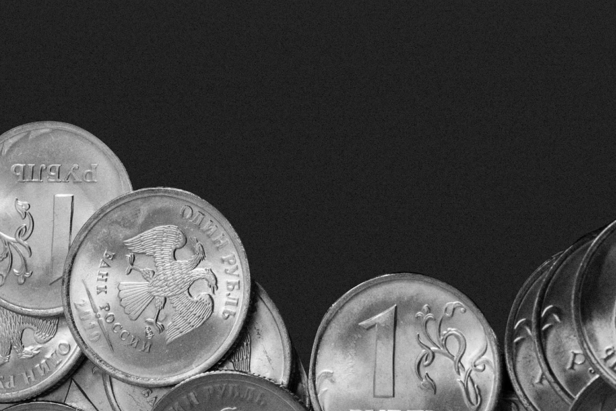 Госдума расширила доступ Росфинмониторинга к данным о переводах через СБП и «Мир»