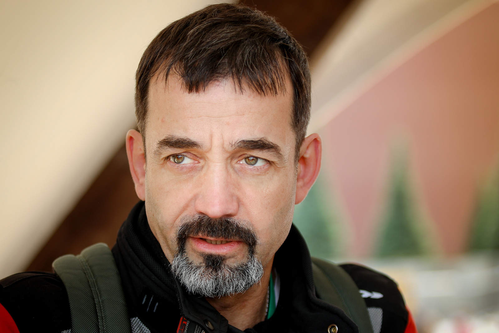 Дмитрий Певцов заявил, что авторы фильмов «Буратино», «Чебурашка» и «Бременские музыканты» просто «заработали бабла