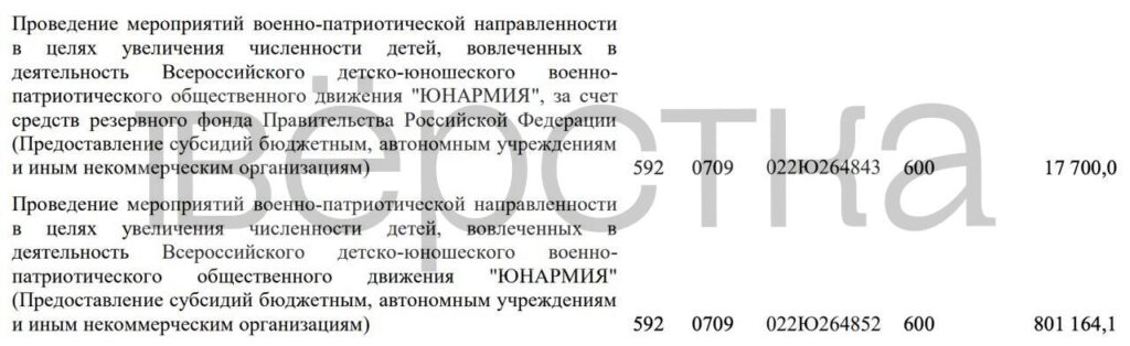 Власти в 2025 году потратили рекордные 819 млн рублей на привлечение детей в «Юнармию»