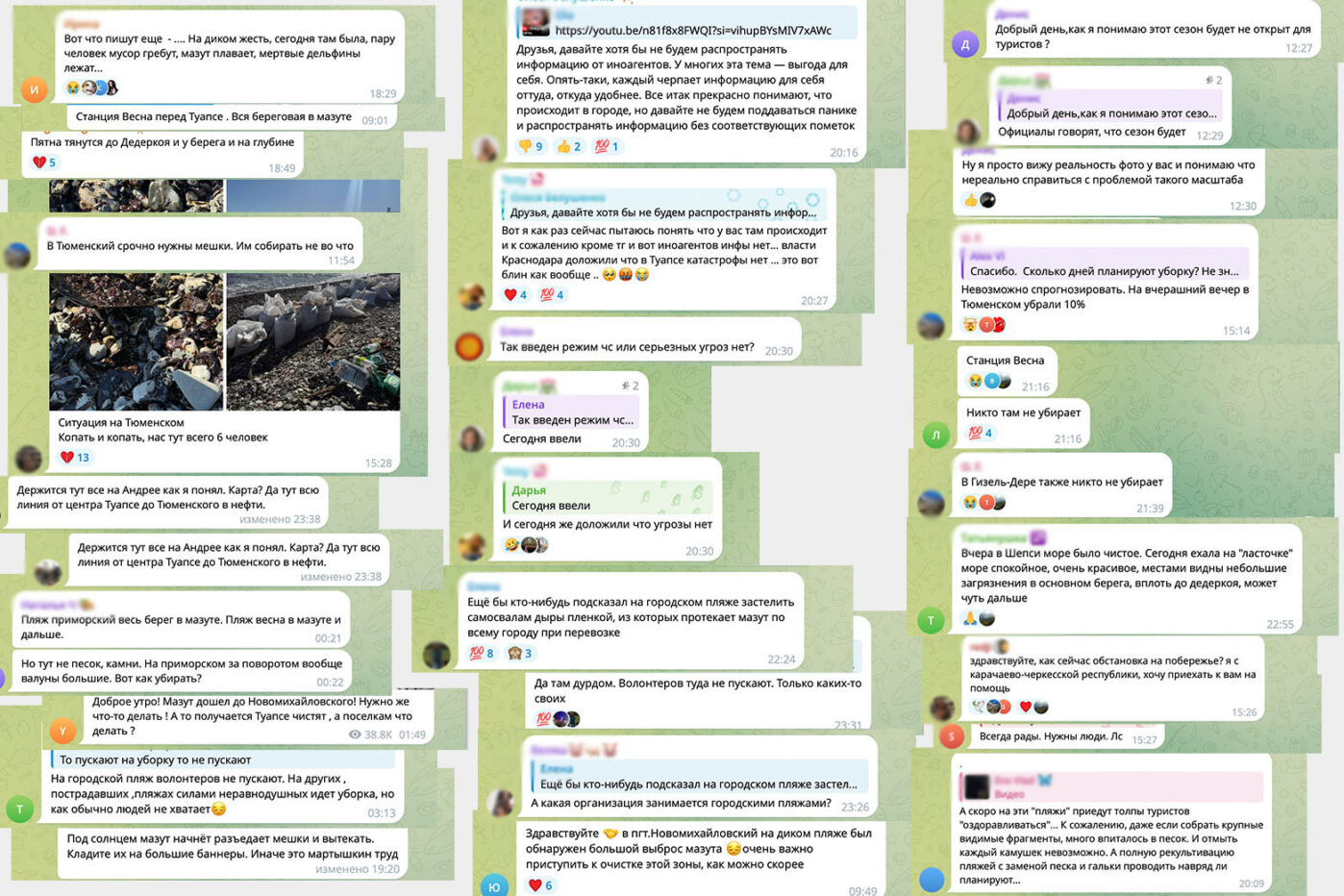 Волонтёры очищали пляжи Туапсе практически без помощи от властей