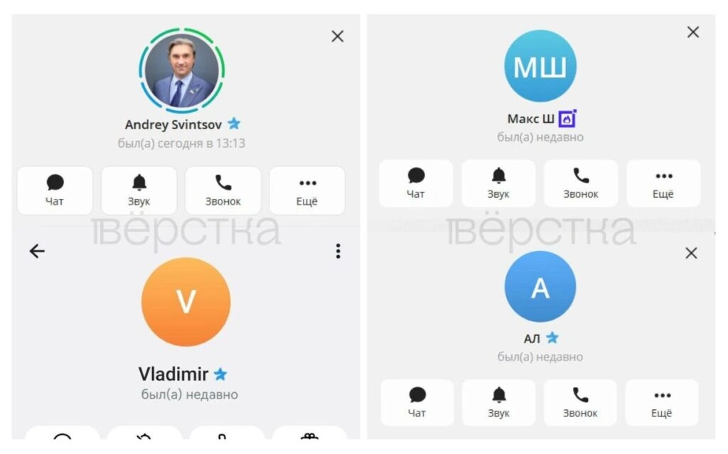 Премиум-подписки в Telegram Андрея Свинцова, Андрея Липова, Максута Шадаева и Владимира Кириенка